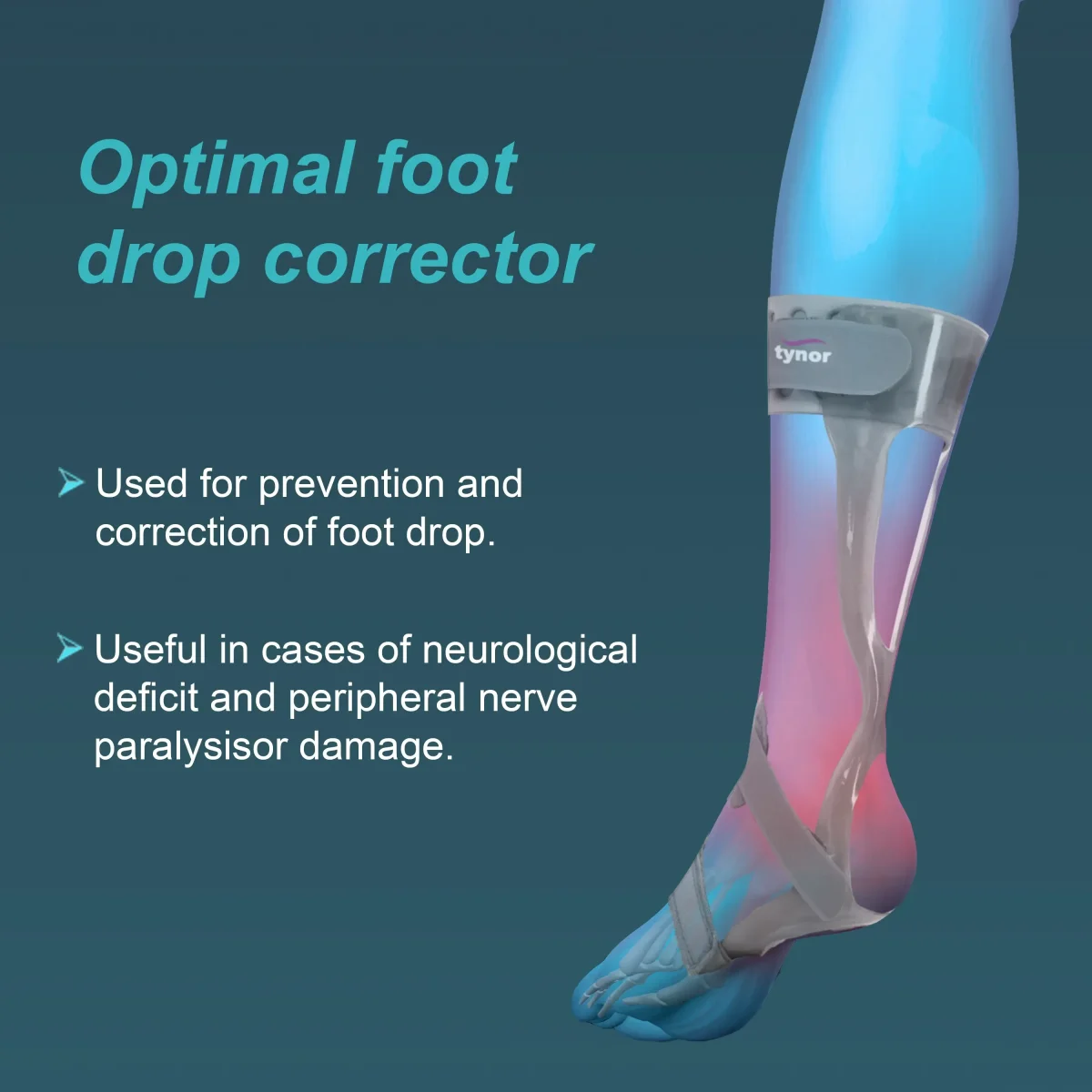 Foot Drop Splint With Liner - Image 2